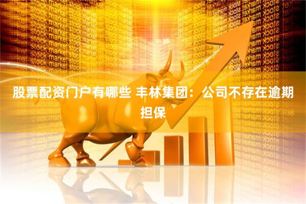 股票配资门户有哪些 丰林集团：公司不存在逾期担保